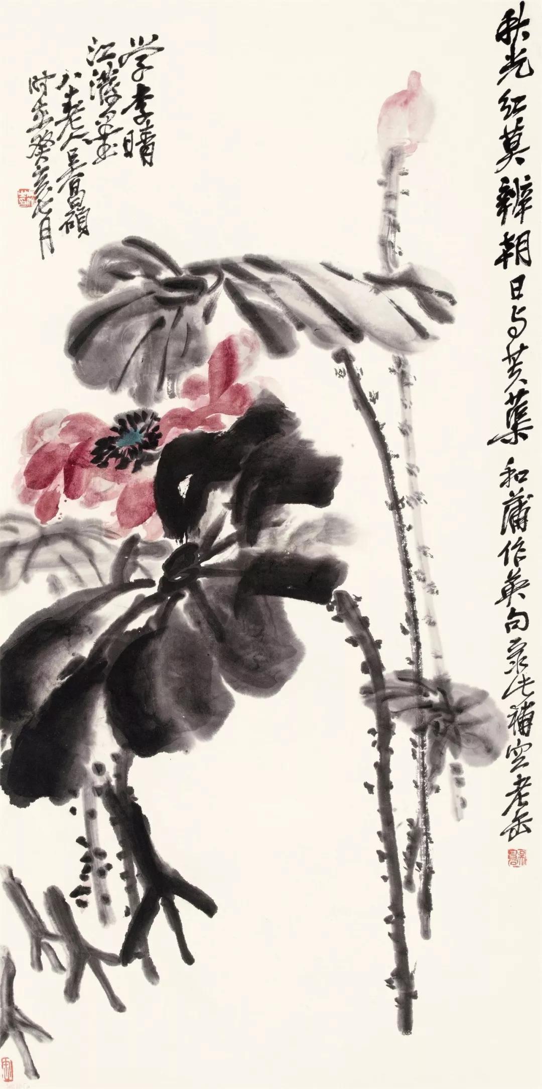 ˶徫Ʒ50