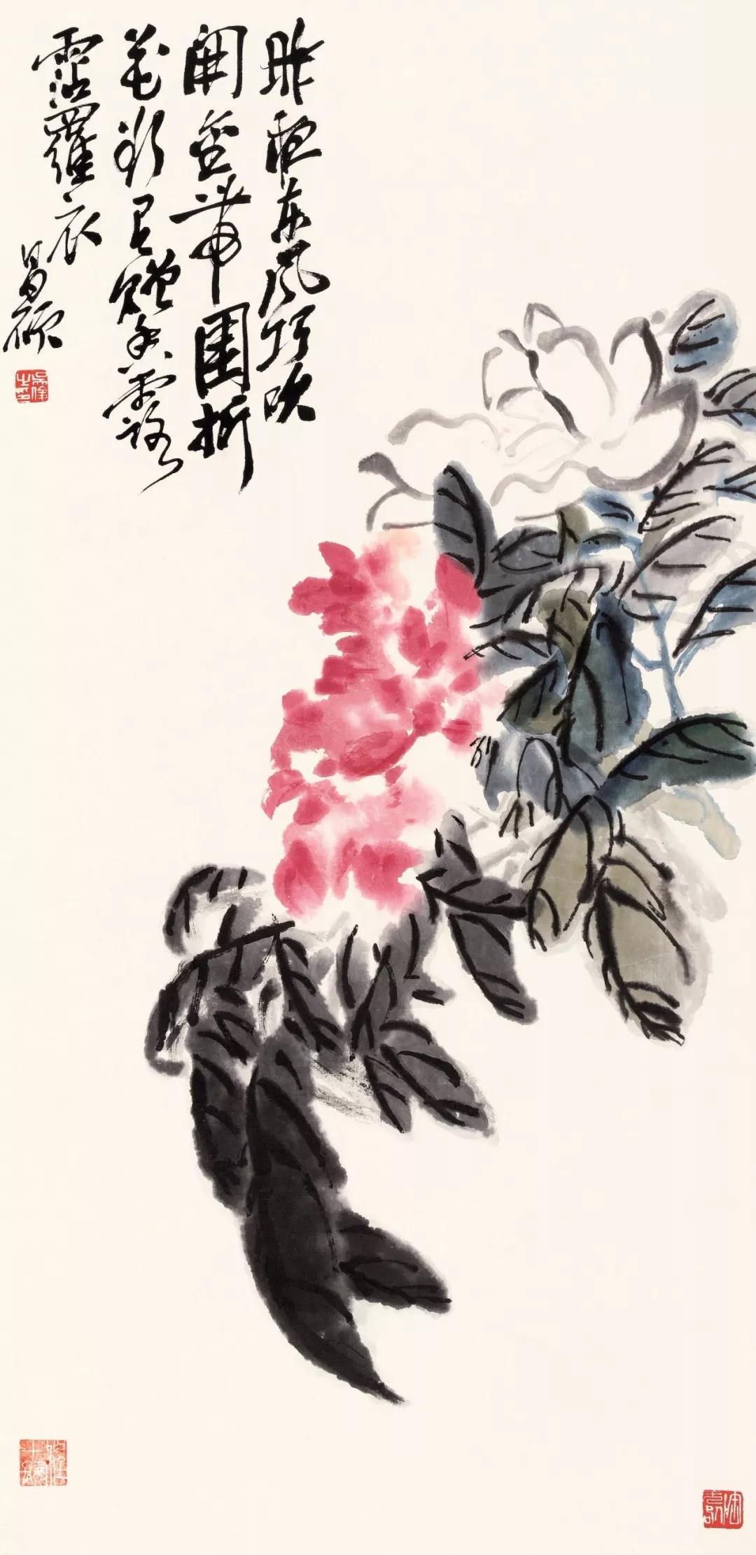 ˶徫Ʒ50